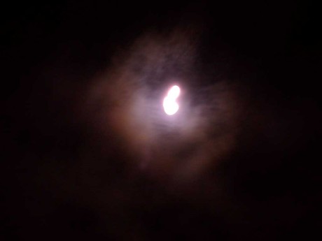 460>_2060488